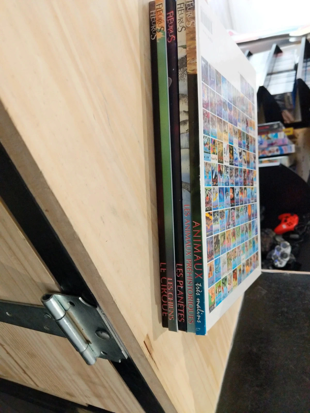 Lot of books - La Grande Imagerie Fleurus – photo 7